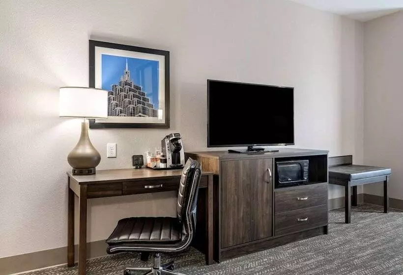 スイート, Comfort Suites Mcdonough Atlanta South