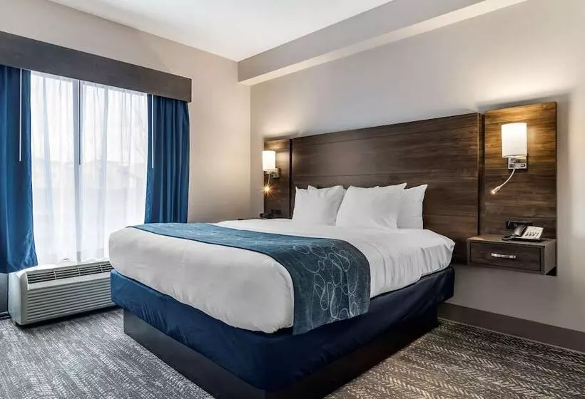 スイート, Comfort Suites Mcdonough Atlanta South