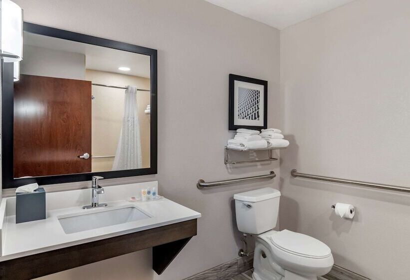 Люкс Адаптированный для Инвалидов, Comfort Suites Mcdonough Atlanta South