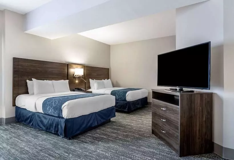 身障者適用スイートルーム, Comfort Suites Mcdonough Atlanta South