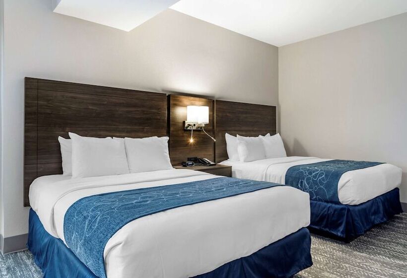 جناح لذوى الاحتياجات الخاصة, Comfort Suites Mcdonough Atlanta South