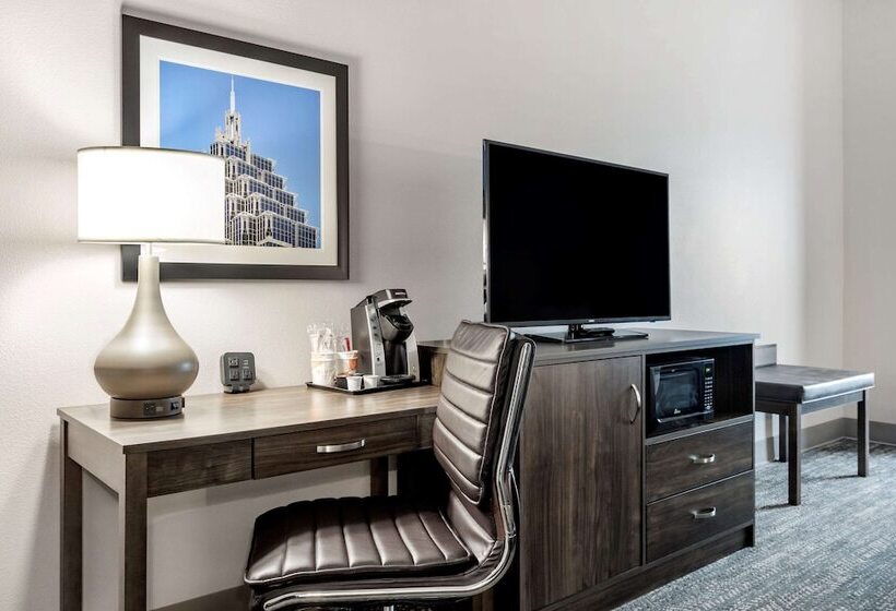 جناح لذوى الاحتياجات الخاصة, Comfort Suites Mcdonough Atlanta South