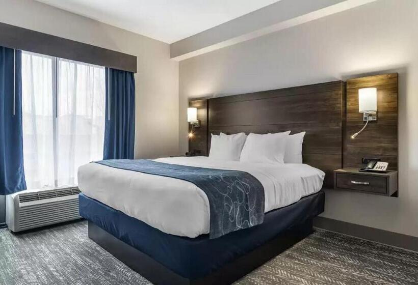 جناح سرير كينج, Comfort Suites Mcdonough Atlanta South