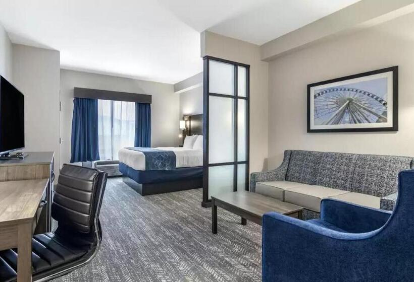 Люкс Кровать Кинг, Comfort Suites Mcdonough Atlanta South