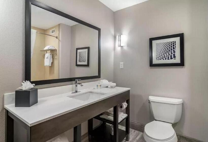 جناح سرير كينج, Comfort Suites Mcdonough Atlanta South