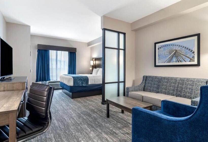 جناح سرير كينج, Comfort Suites Mcdonough Atlanta South