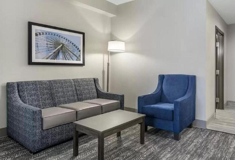 جناح لذوى الاحتياجات الخاصة, Comfort Suites Mcdonough Atlanta South