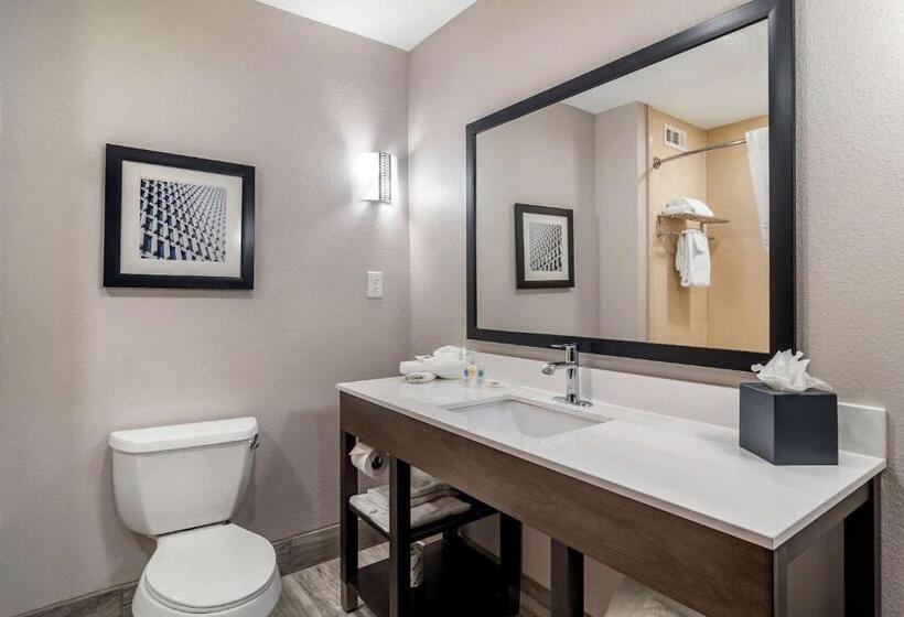 جناح لذوى الاحتياجات الخاصة, Comfort Suites Mcdonough Atlanta South