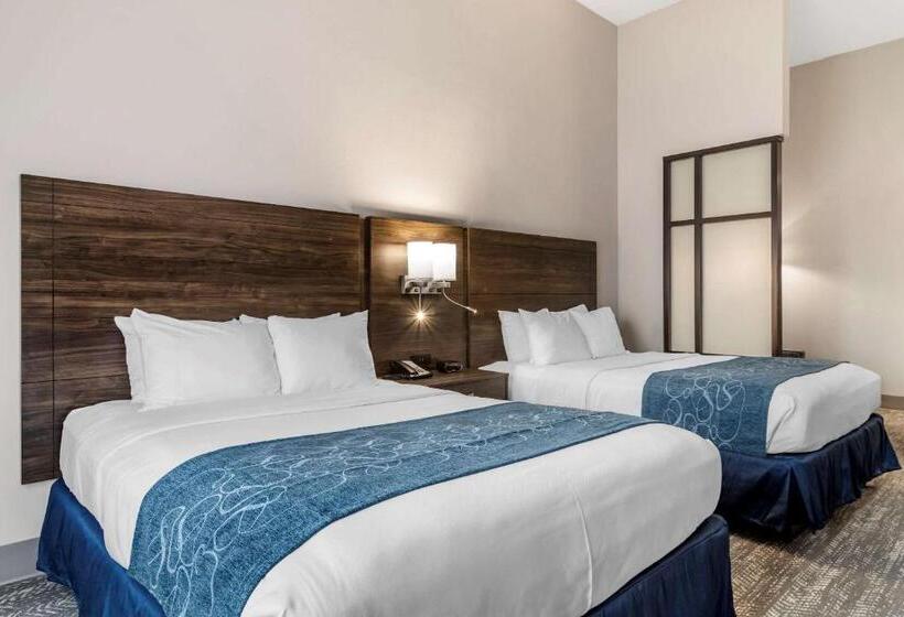 جناح لذوى الاحتياجات الخاصة, Comfort Suites Mcdonough Atlanta South