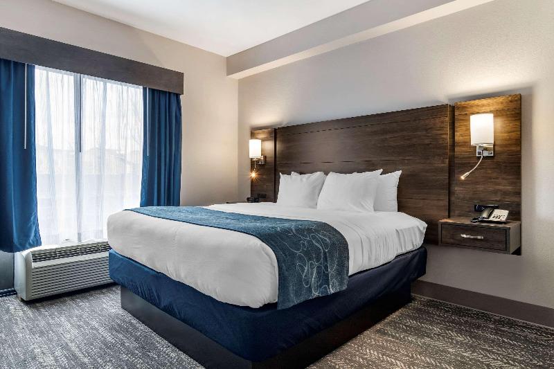 جناح سرير كينج, Comfort Suites Mcdonough Atlanta South