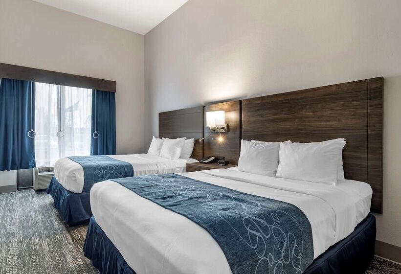Люкс Адаптированный для Инвалидов, Comfort Suites Mcdonough Atlanta South