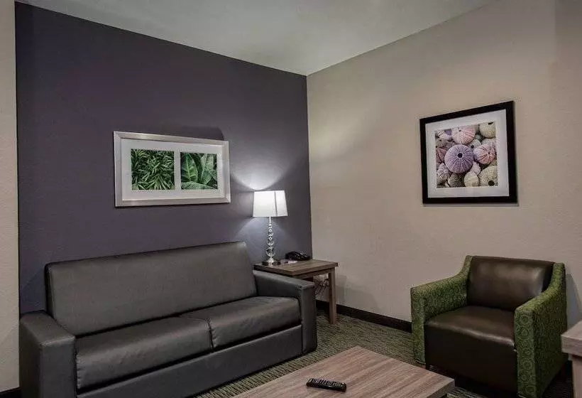 Sviitti, Holiday Inn Express Hotel And Suites Port Aransas/beach Area, An Ihg
