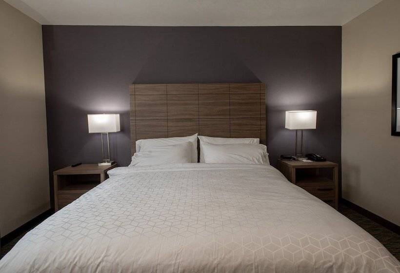 标准间, Holiday Inn Express Hotel And Suites Port Aransas/beach Area, An Ihg