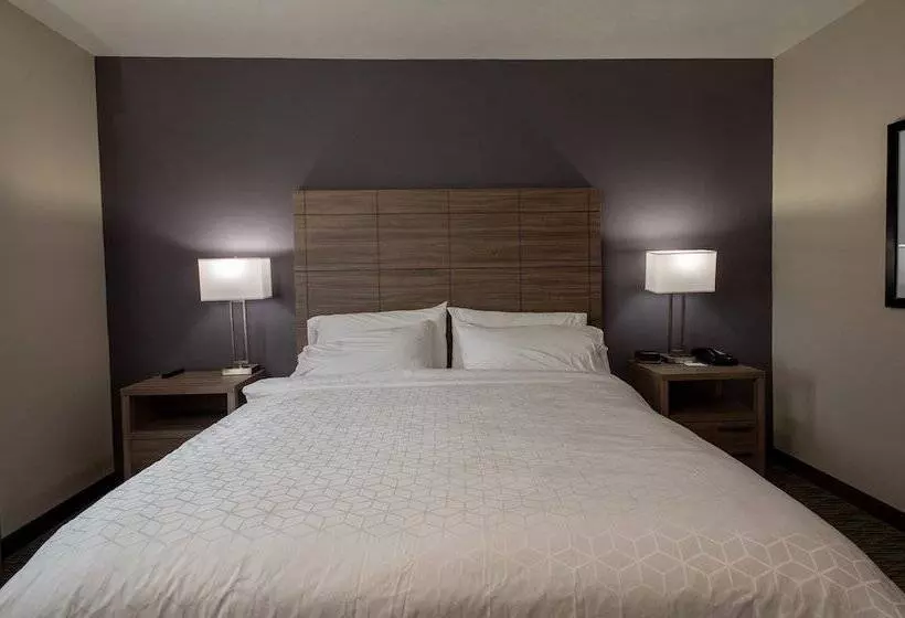 Standard-huone, Holiday Inn Express Hotel And Suites Port Aransas/beach Area, An Ihg