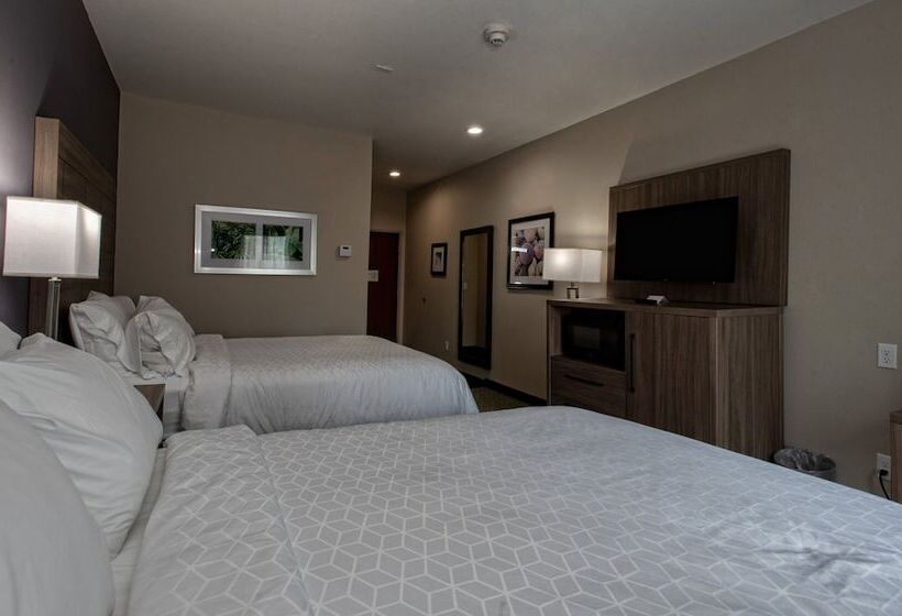 套房, Holiday Inn Express Hotel And Suites Port Aransas/beach Area, An Ihg