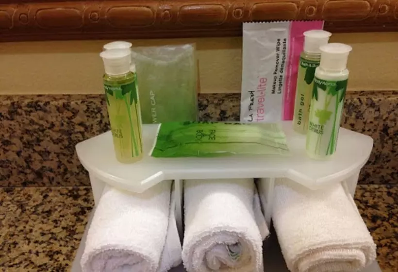 Sviitti Liikuntarajoitteisille, Holiday Inn Express Hotel And Suites Port Aransas/beach Area, An Ihg