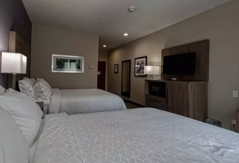 Sviitti Liikuntarajoitteisille, Holiday Inn Express Hotel And Suites Port Aransas/beach Area, An Ihg
