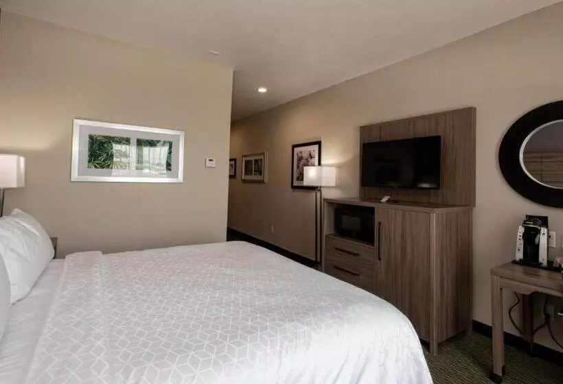 Standard-huone King-vuode, Holiday Inn Express Hotel And Suites Port Aransas/beach Area, An Ihg