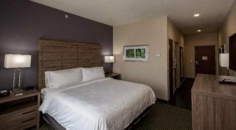 Standard-huone King-vuode, Holiday Inn Express Hotel And Suites Port Aransas/beach Area, An Ihg