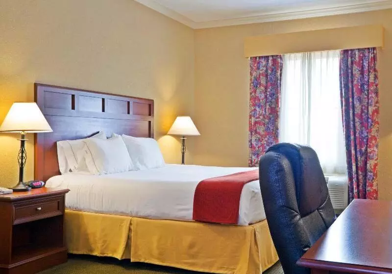 キングサイズベッドのスタンダードルーム, Holiday Inn Express Of Salado Belton, An Ihg