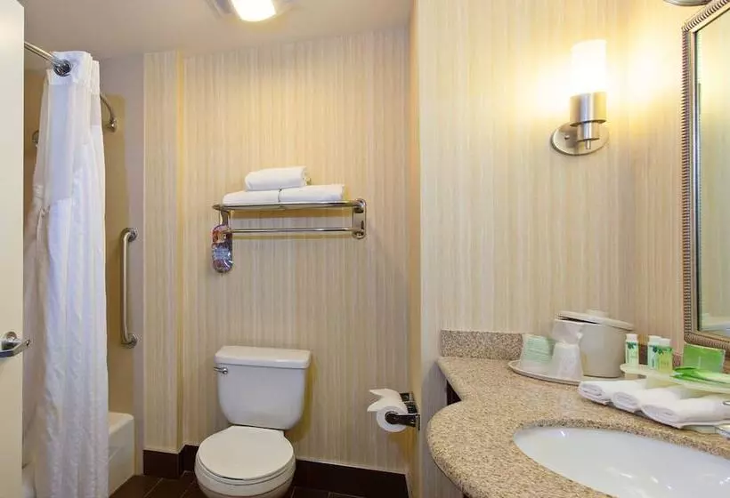 スイート, Holiday Inn Express & Suites Pecos, An Ihg