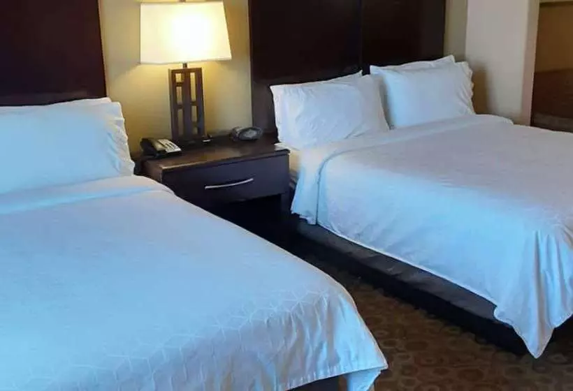 スイート, Holiday Inn Express & Suites Pecos, An Ihg