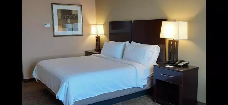 スタンダードルーム, Holiday Inn Express & Suites Pecos, An Ihg
