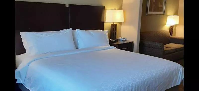 キングサイズベッドのスイートルーム, Holiday Inn Express & Suites Pecos, An Ihg