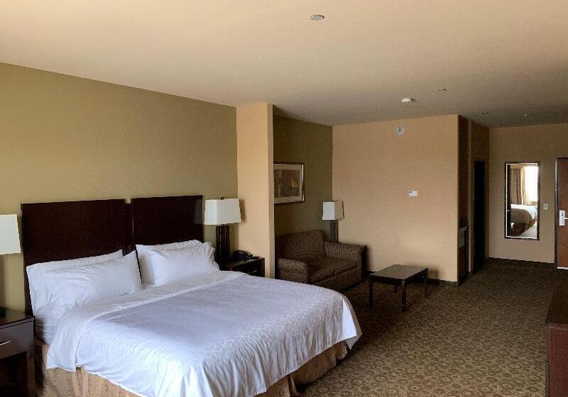غرفة قياسية سرير كينج, Holiday Inn Express & Suites Pecos, An Ihg