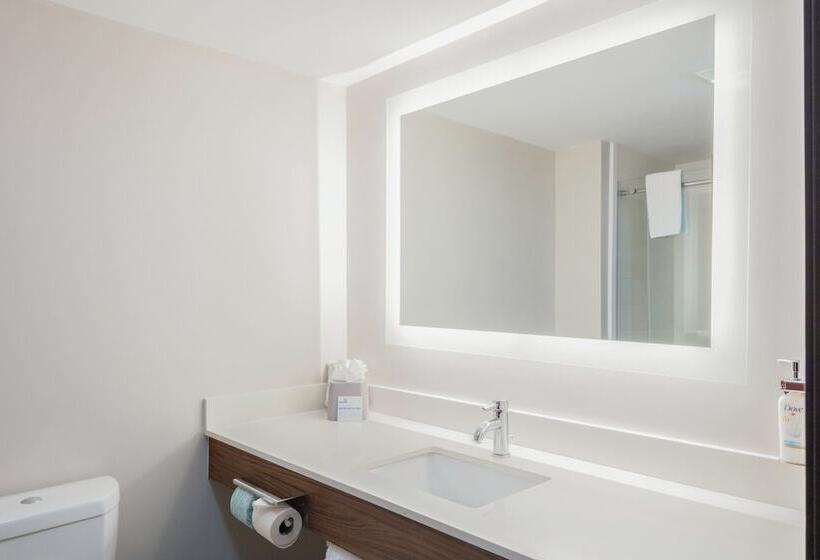 Люкс, Holiday Inn Express & Suites Roanoke Rapids Se By Ihg