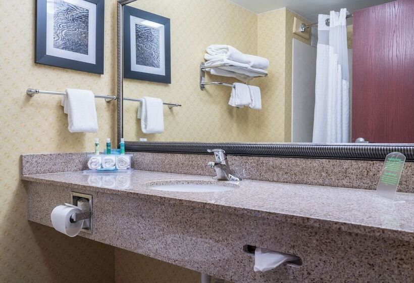 Люкс, Holiday Inn Express & Suites Roanoke Rapids Se By Ihg