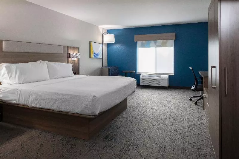 キングサイズベッドのスイートルーム, Holiday Inn Express & Suites Roanoke Rapids Se By Ihg