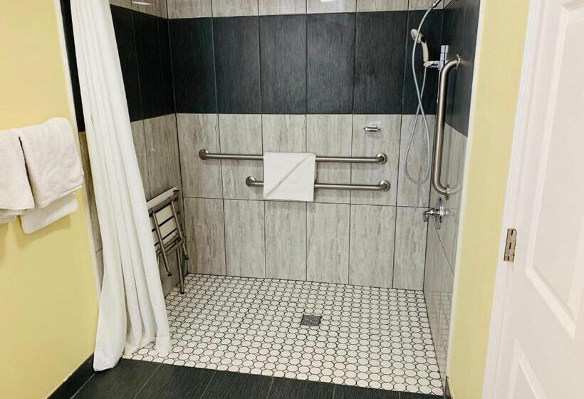 غرفة قياسية لذوى الاحتياجات الخاصة, Morro Bay Beach Inn