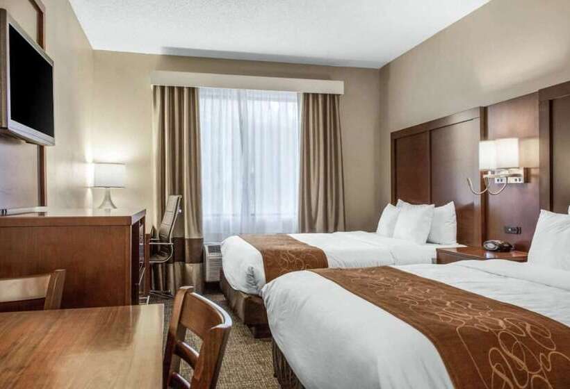 スイート, Scottsdale