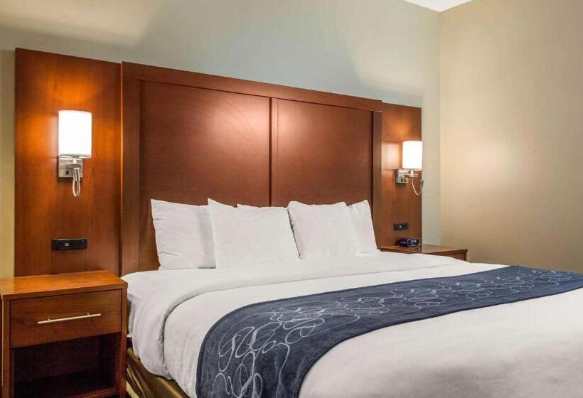 キングサイズベッドのスイートルーム, Scottsdale