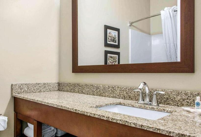 キングサイズベッドのスイートルーム, Scottsdale