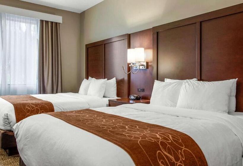 身障者適用スタンダードルーム, Scottsdale