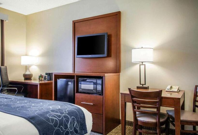 身障者適用キングサイズベッドルーム, Scottsdale