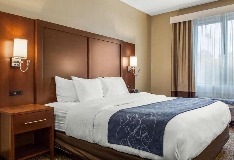 身障者適用キングサイズベッドルーム, Scottsdale