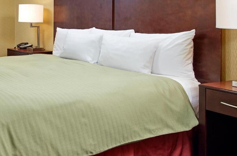 キングサイズベッドのスタンダードルーム, Sands By The Sea Motel