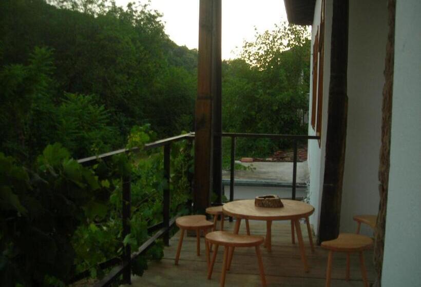 اتاق استاندارد, Hostel Mostel