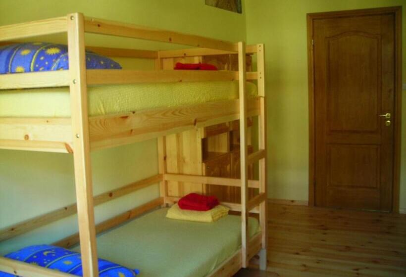 تختخواب در اتاق مشترک, Hostel Mostel