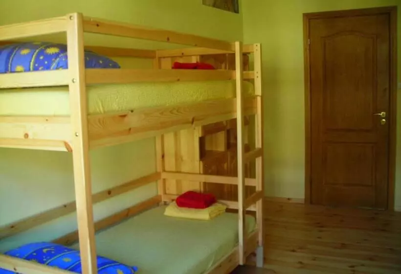 تختخواب در اتاق مشترک, Hostel Mostel