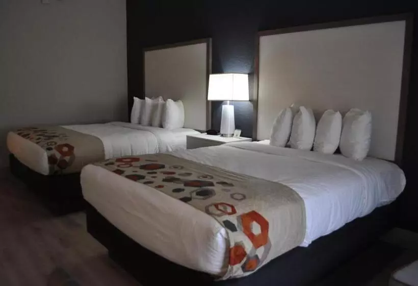 スタンダードルーム, Best Western Heritage Inn And Suites