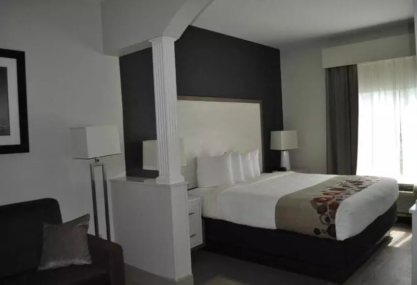 キングサイズベッドのスタンダードルーム, Best Western Heritage Inn And Suites