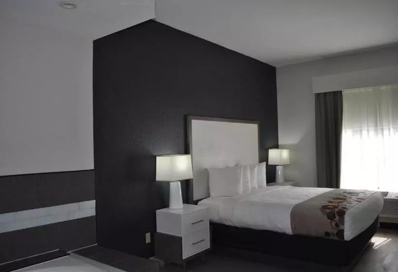キングサイズベッドのスイートルーム, Best Western Heritage Inn And Suites
