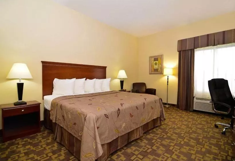キングサイズベッドのデラックスルーム, Best Western Opp Inn