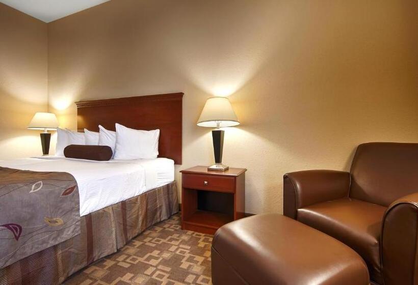 غرفة قياسية سرير كينج لذوى الإحتياجات الخاصة, Best Western Opp Inn