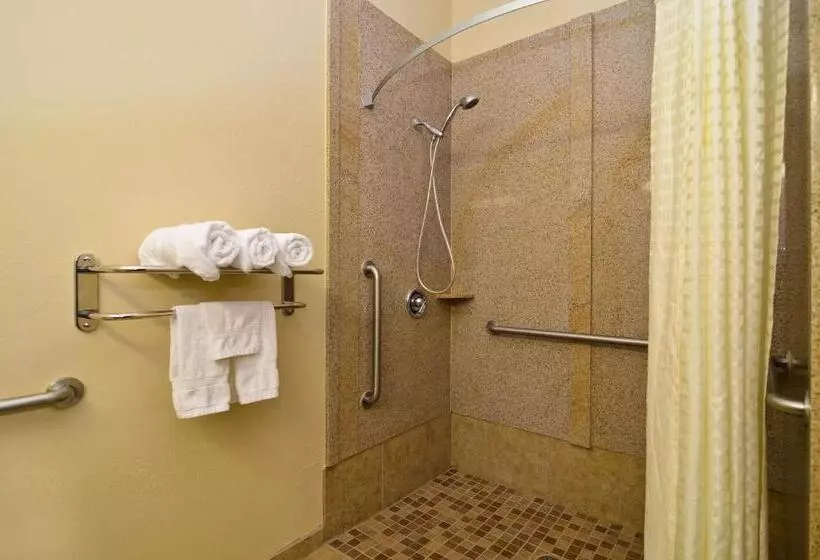 身障者適用キングサイズベッドルーム, Best Western Opp Inn