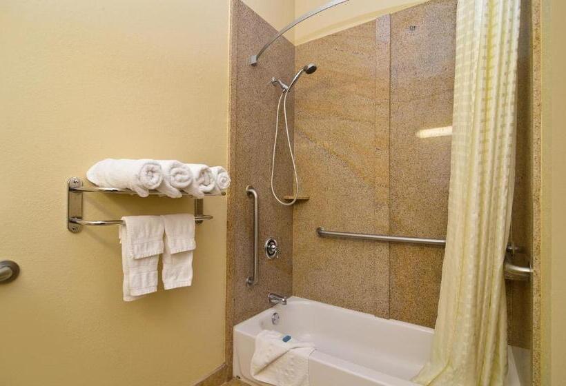 Номер Стандарт Адаптированный для Инвалидов, Best Western Opp Inn